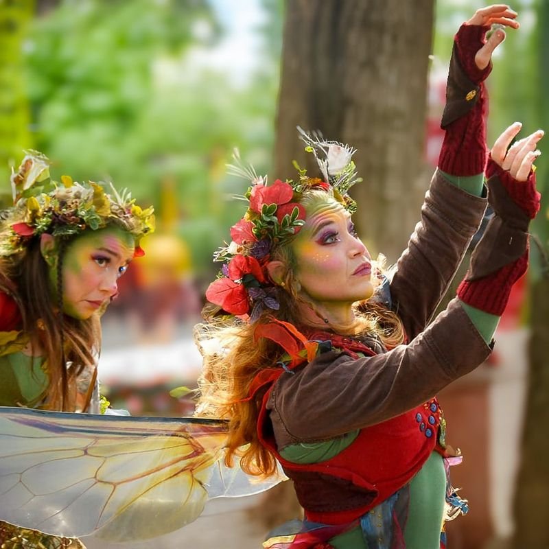 Bay Area Spring Renaissance Festival — Tampa