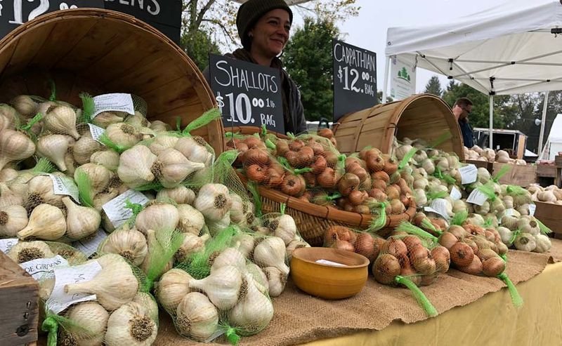 Bethel Autumn Craft Festival