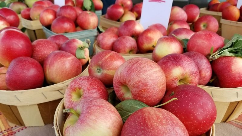 Canton Fathers Day Craft And Vendor Market — Canton