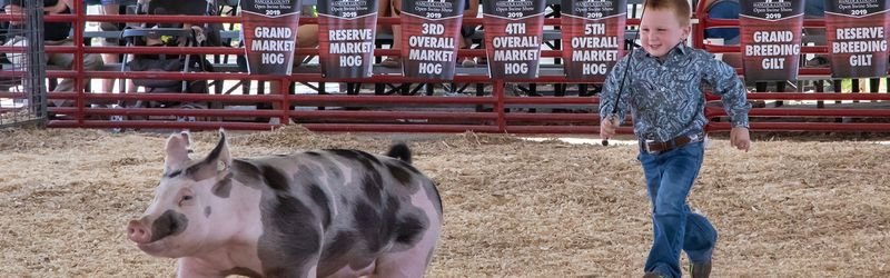 Hancock County Fair — Britt