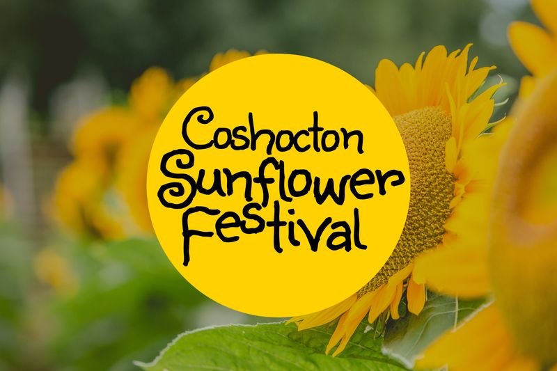 Hartville Summer Sunflower Festival — Hartville
