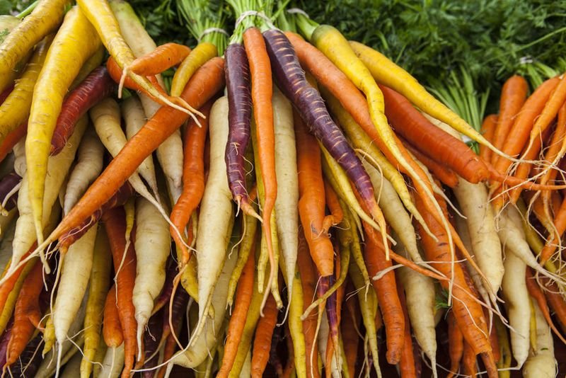 Hudson Valley First Saturday Farmers Market — Milton