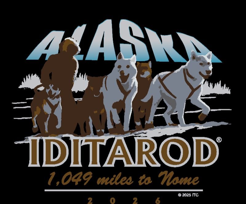 Iditarod Restart — Willow