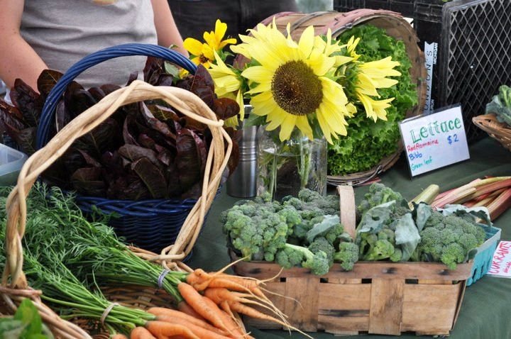 Medical Lake Fall Farmers Market — Medical Lake