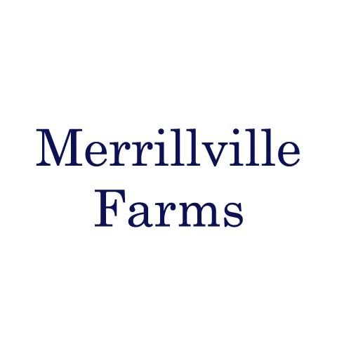 Merrillville Spooktacular Craft and Vendor Market — Merrillville