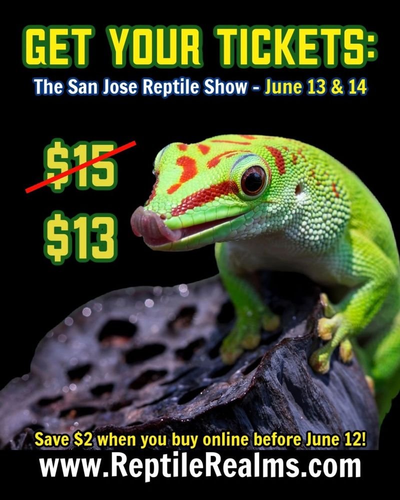 San Jose Reptile Show — San Jose