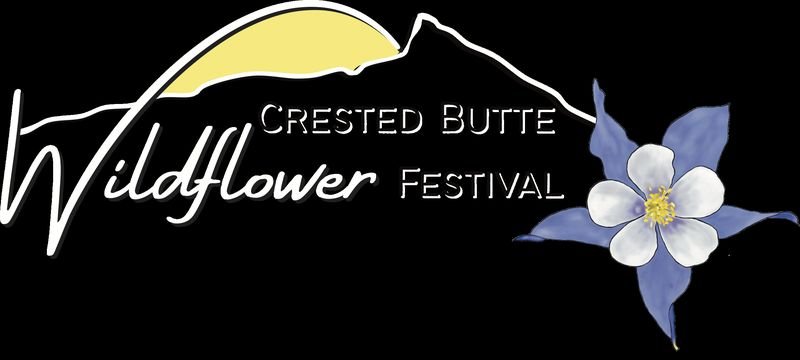 Wild Wind Folk Art and Craft Festival — Pittsfield